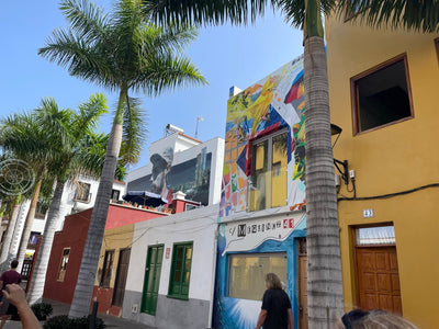 Ömmur í Orlofi (14. nóv)