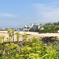 Cornwall, Devon & Dorset (13. jún)