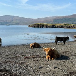 Á slóðir Auðar djúpúðgu (5. sep)