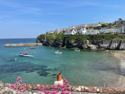 Cornwall, Devon & Dorset (14. jún)