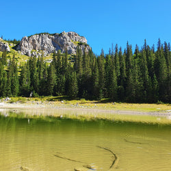 Montenegro (15. maí)