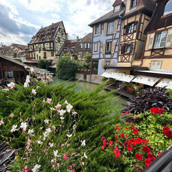 Alsace - Frakkland (12. sep)