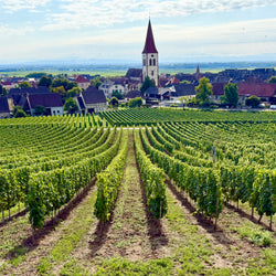 Haustævintýri í Alsace (2. okt)