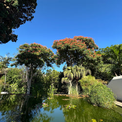 Ömmur í Orlofi (5. mars)