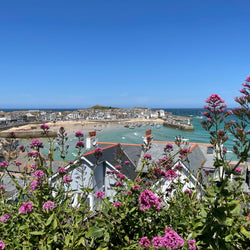 Cornwall, Devon & Dorset (20. jún)