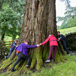 Windermere Way (21. jún)