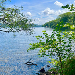 Windermere Way (21. jún)