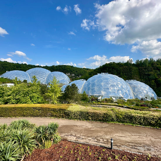 Garðaævintýri í Cornwall (30. maí)