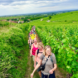 Alsace - Frakkland (12. sep)