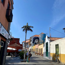 Ömmur í Orlofi (5. mars)