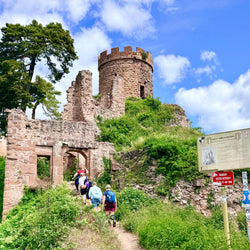Alsace - Frakkland (12. sep)