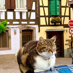 Alsace - Frakkland (12. sep)