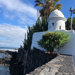 Ömmur í Orlofi (5. mars)