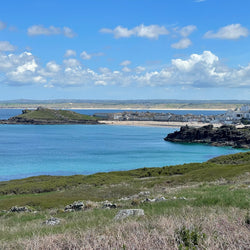 Cornwall, Devon & Dorset (20. jún)
