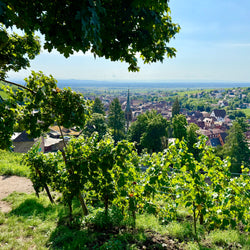 Alsace - Frakkland (7. jún)