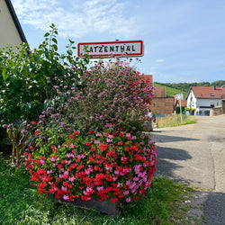 Alsace - Frakkland (7. jún)