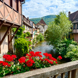 Alsace - Frakkland (12. sep)