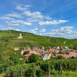 Haustævintýri í Alsace (2. okt)