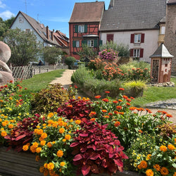 Haustævintýri í Alsace (2. okt)