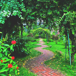 Garðaævintýri í Cornwall (30. maí)