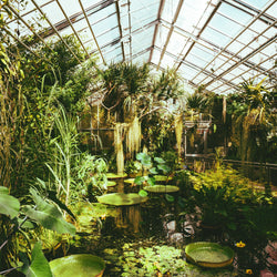 Garðaævintýri í Cornwall (30. maí)