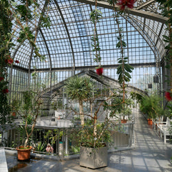 Garðaævintýri í Cornwall (30. maí)