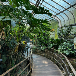 Garðaævintýri í Cornwall (30. maí)